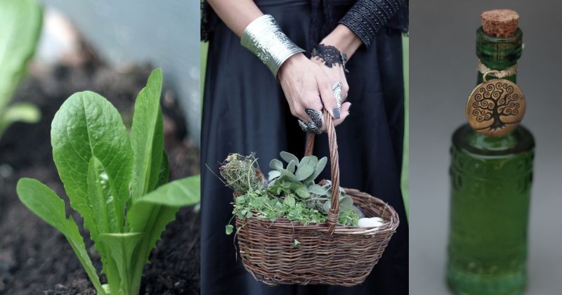 10 Ways to Honor Your Earth&nbsp;Sign