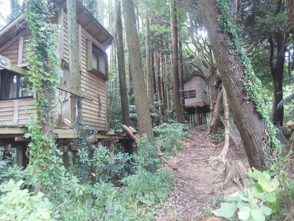 Gankoyama: Japan’s sustainable tree house&nbsp;village