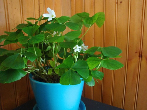 Visit a Gallery! 6 Ways to Make the Most of the Coming&nbsp;Weekend