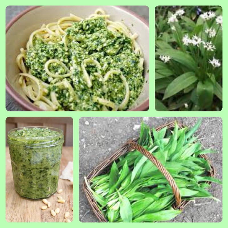 Seasonal – Wild Garlic&nbsp;Recipes