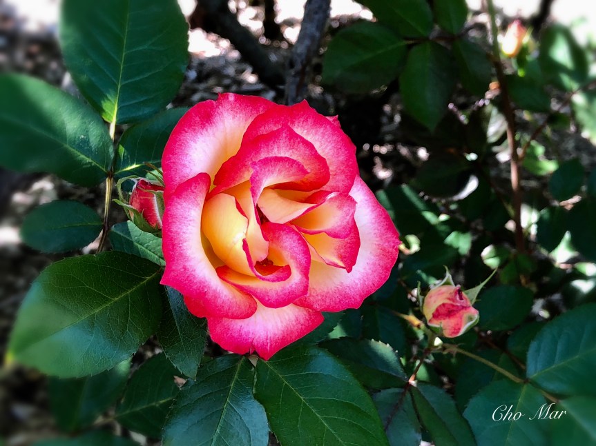 94F79F05-BE99-4B2F-A2DD-0C703424D308