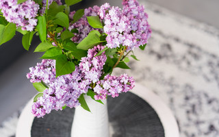 Get Lilacs! And 6 More Ways to Make the Most of This&nbsp;Weekend