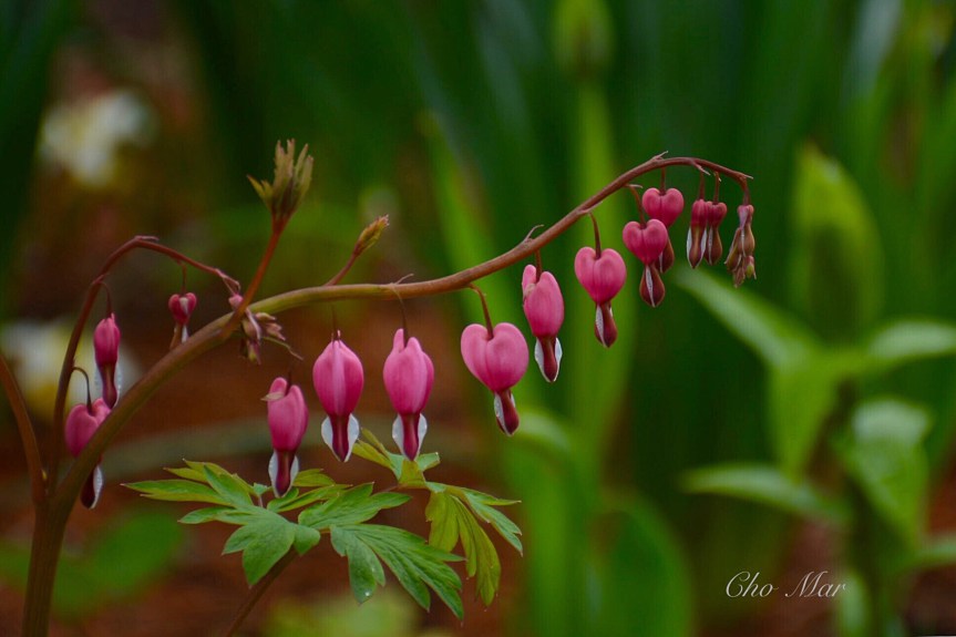 D95EE4A4-A722-46FC-9A1E-FF3FD1A76E89