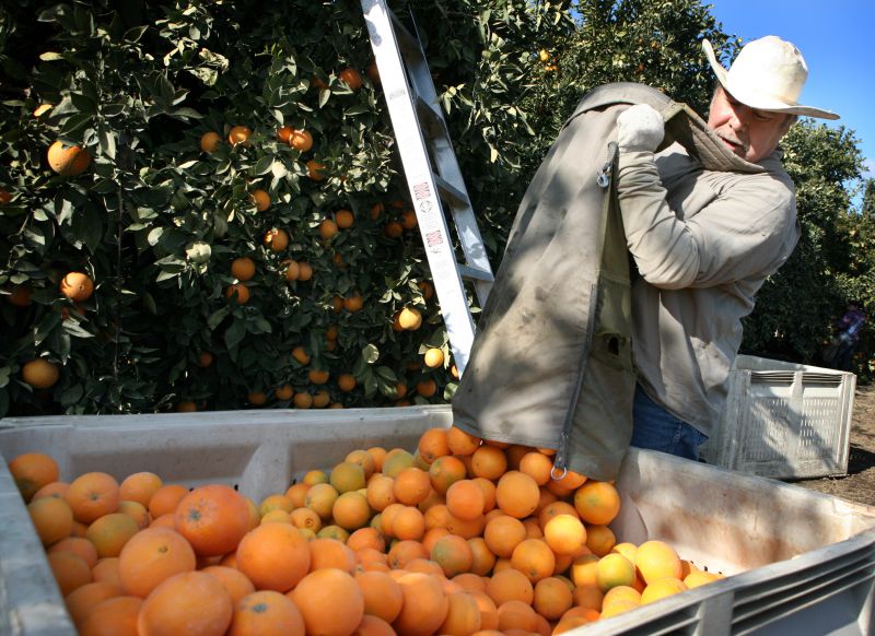 Farming A Warming Planet: An Interview Nathanael&nbsp;Johnson