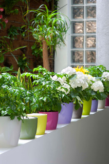 Try This Shortcut to Garden Color Where You Need&nbsp;It