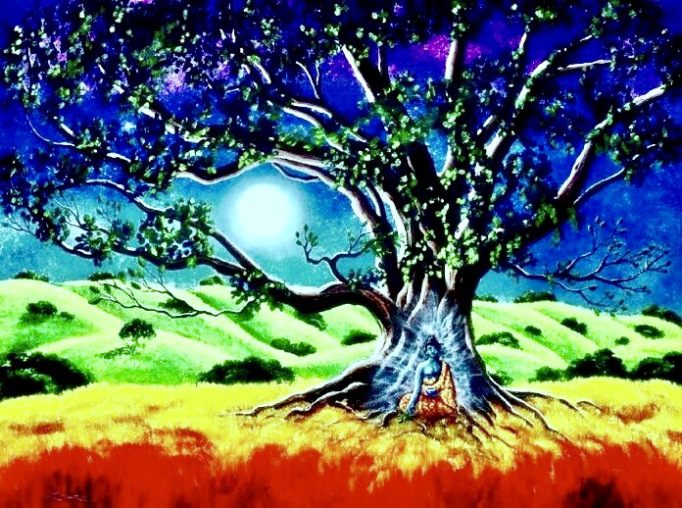 CONSCIOUS REMINDER: “Amazing Tree Energy — How Trees Help Us&nbsp;Heal”