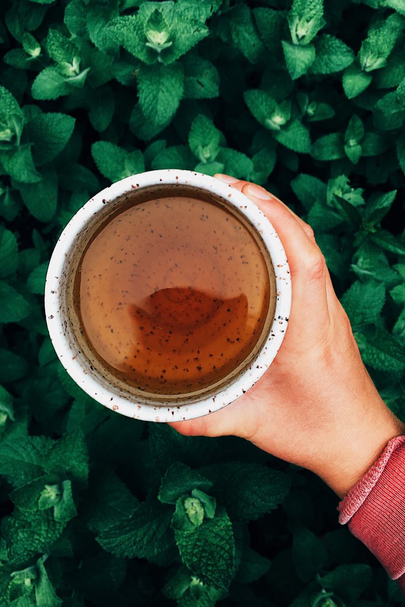 Natural and Simple Meadow Mint Tea: A Lancaster County Favorite During the&nbsp;Summertime
