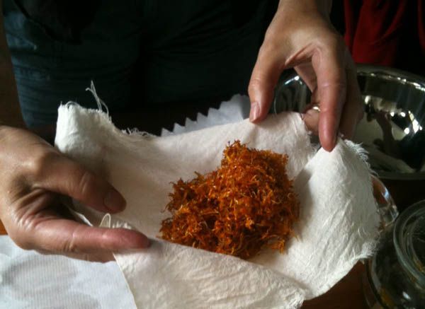 INDEFINITELY WILD SERIES: HOW TO MAKE A POULTICE WITH DRIED AND OR FRESH&nbsp;HERBS