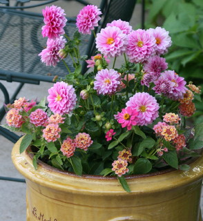 How to Water and Refresh Your Potted Plants Over the&nbsp;Summer