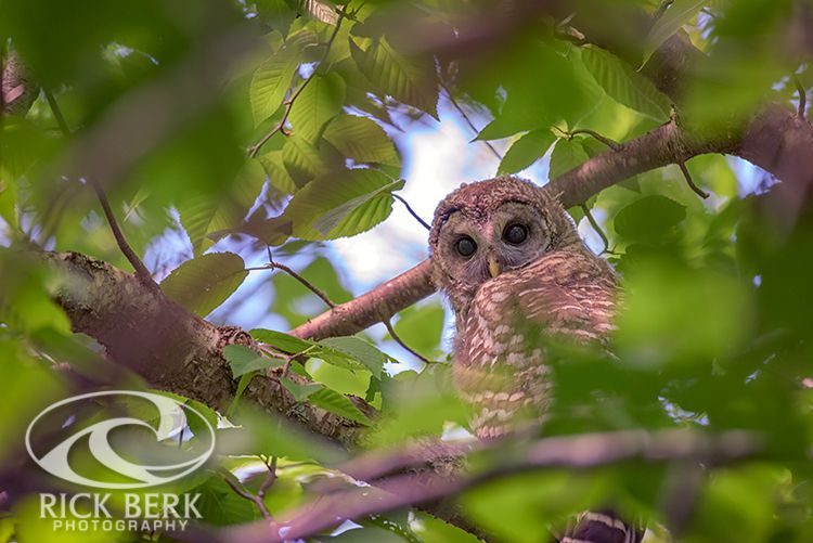 The Quiet Side of Acadia — Explorations Through The&nbsp;Lens