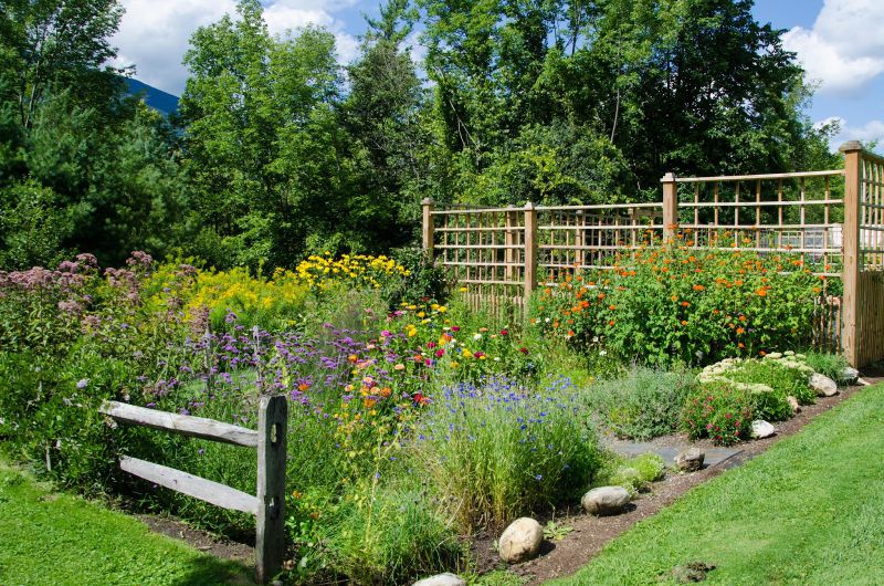 Herbal Medicine; Homegrown — Good Witches&nbsp;Homestead