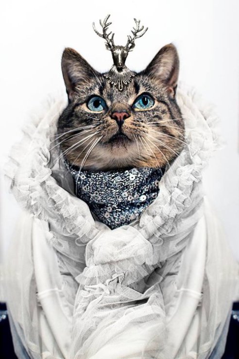 Take A Look & Have A Chuckle | The Many Faces Of Hummus — Edge of Humanity&nbsp;Magazine