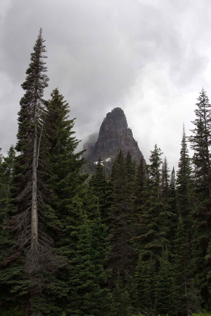 Glacier National Park: Twin&nbsp;Falls