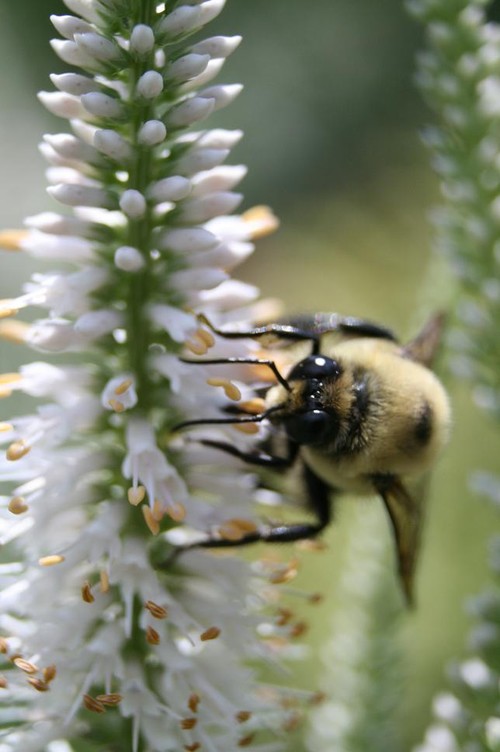 This Weekend: Update Your Curb Appeal, Plant Greens and&nbsp;More