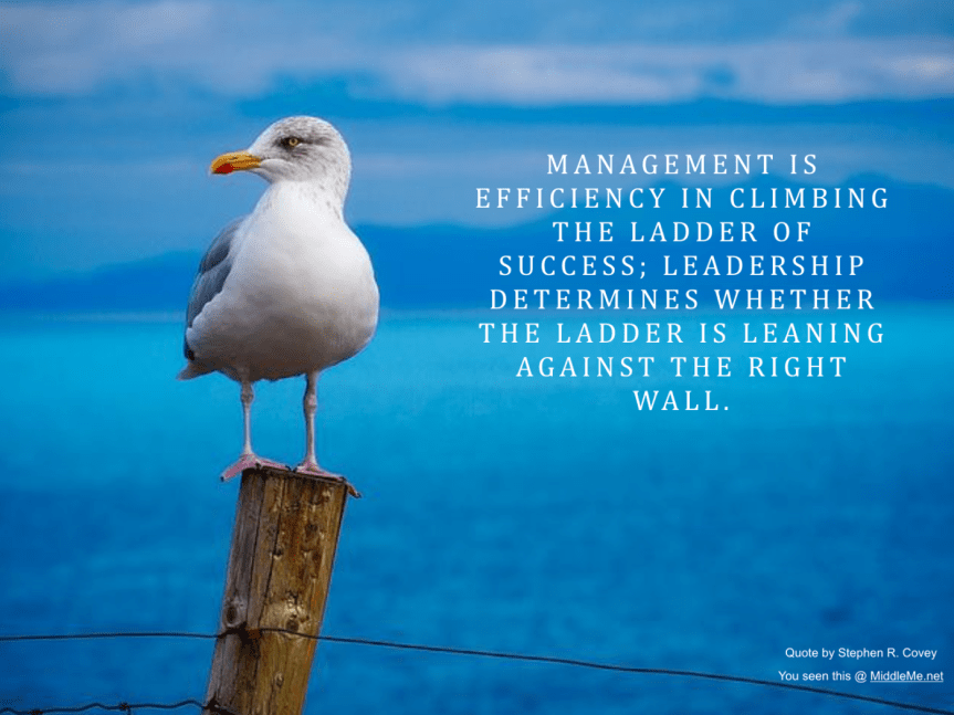 Weekly Wisdom 7 August —&nbsp;MiddleMe