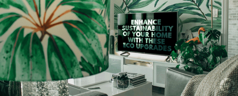 Enhance Sustainability of your Home with these Eco Upgrades —&nbsp;ecogreenlove