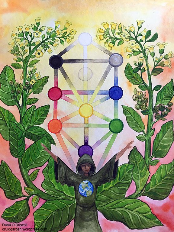 Plant Spirit Communication Part III: Spirit Journeying — The Druid’s&nbsp;Garden