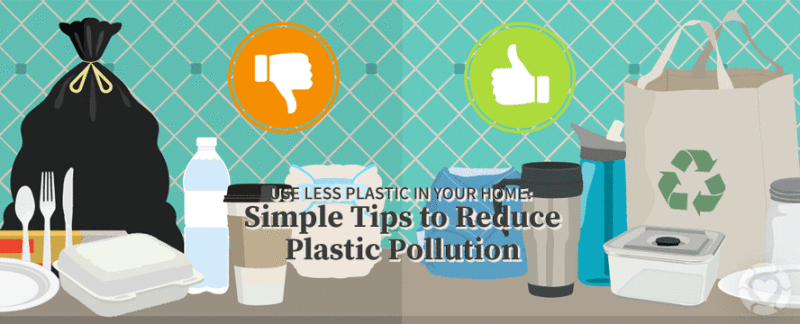 Use Less Plastic in Your Home [Infographic] — ecogreenlove – Ravenhawks ...
