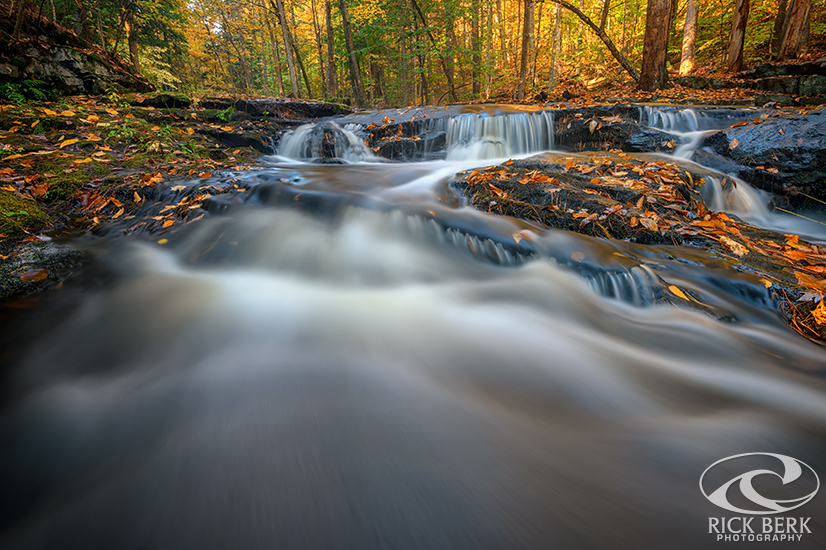 Fall Morning at Vaughan Brook