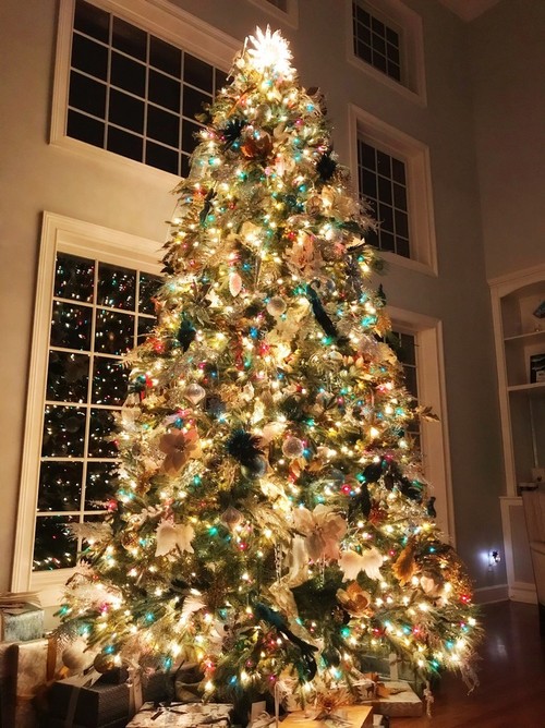 Houzz Call: Show Us Your Merry and Bright Christmas&nbsp;Tree