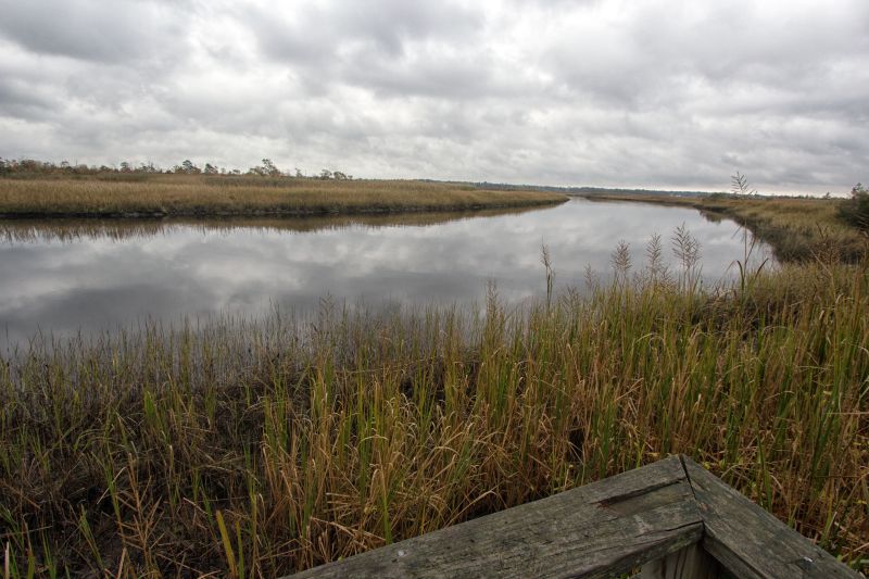Great Egg Harbor National Scenic and Recreational River: Estelle Manor — National Parks&nbsp;USA