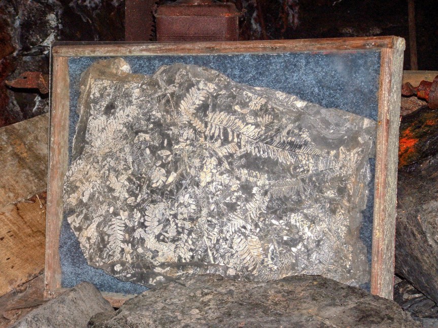 2005_0717PAvacation0078