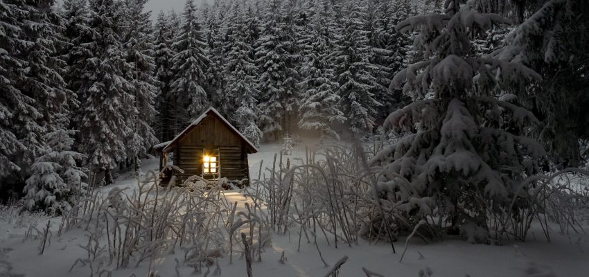 Full Moon in Leo ~ our Wolf Moon, Blood Moon, Super Moon, and Full Lunar&nbsp;Eclipse