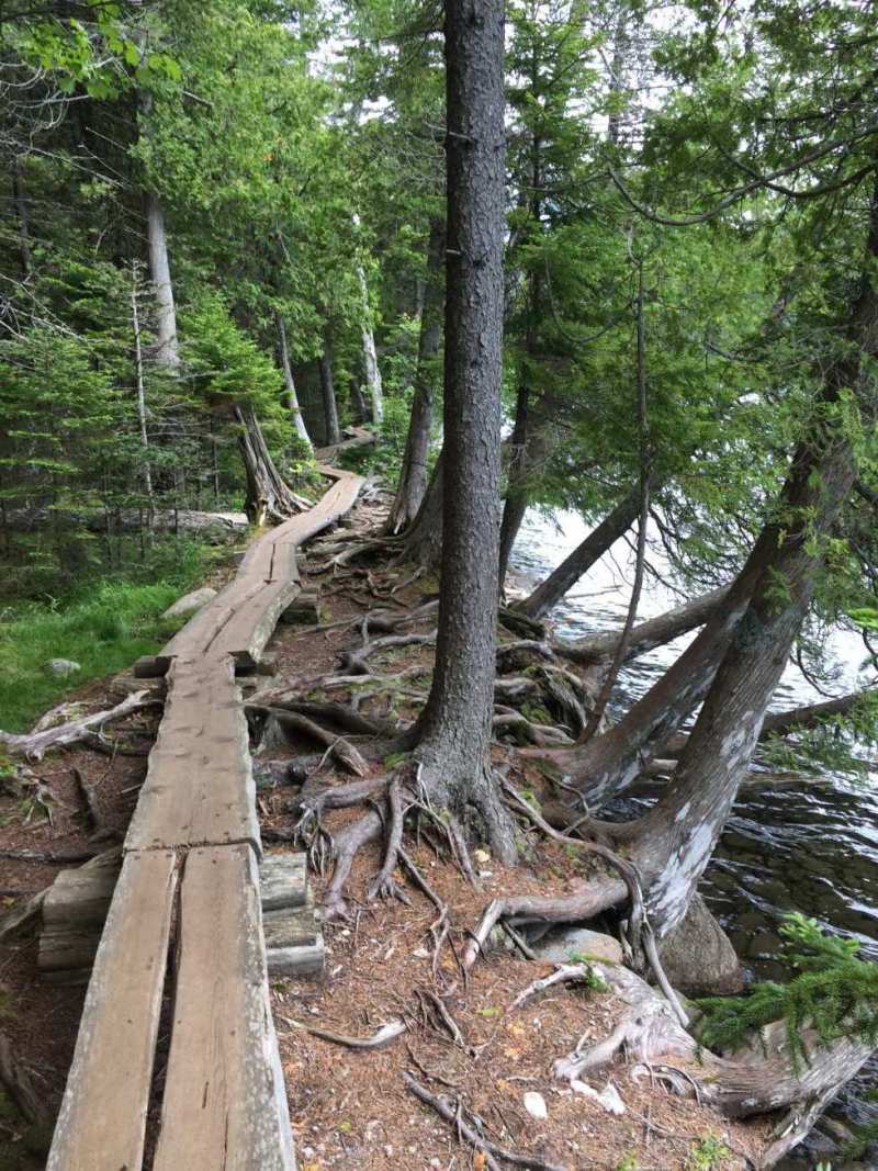 Druidry for the 21st Century: Druidry in the Anthropocene — The Druid’s&nbsp;Garden