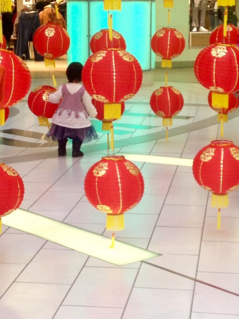 Pig Personality Test —&nbsp;Reflections