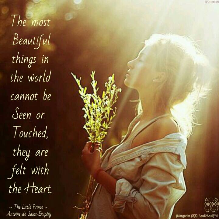 12033063_438776416308521_1216889365300480680_n