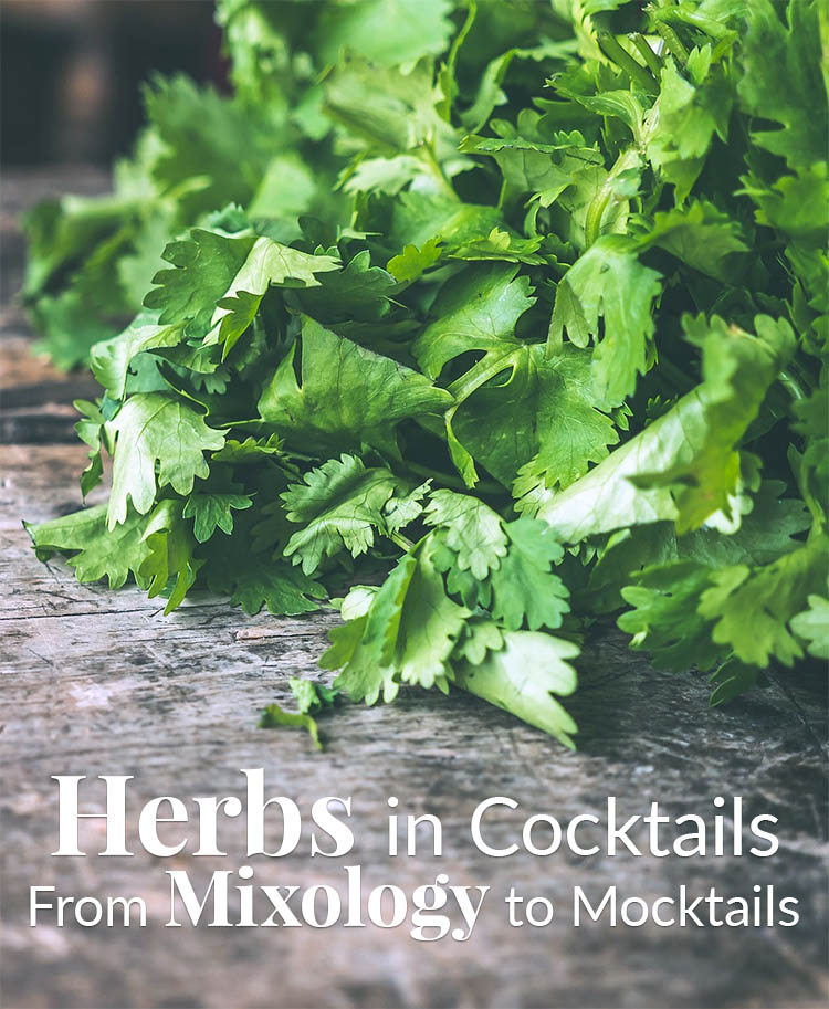 Herbs in Cocktail Drinks – From Mixology to Mocktails – The Herb&nbsp;Exchange