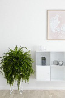 10 Home-Wellness Essentials for a Healthy&nbsp;Life