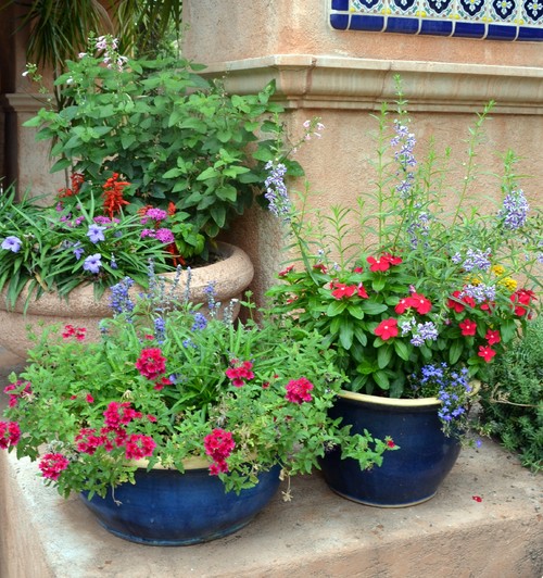 Create a Container Wildlife Habitat for Hummingbirds and&nbsp;Butterflies