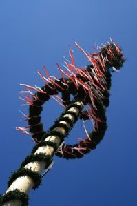 Beltane: May Poles and Dances