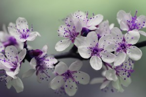 Weekly Spell Casting May 6 – May 12, 2019, gives you the optimal time to do specific spells and activities
