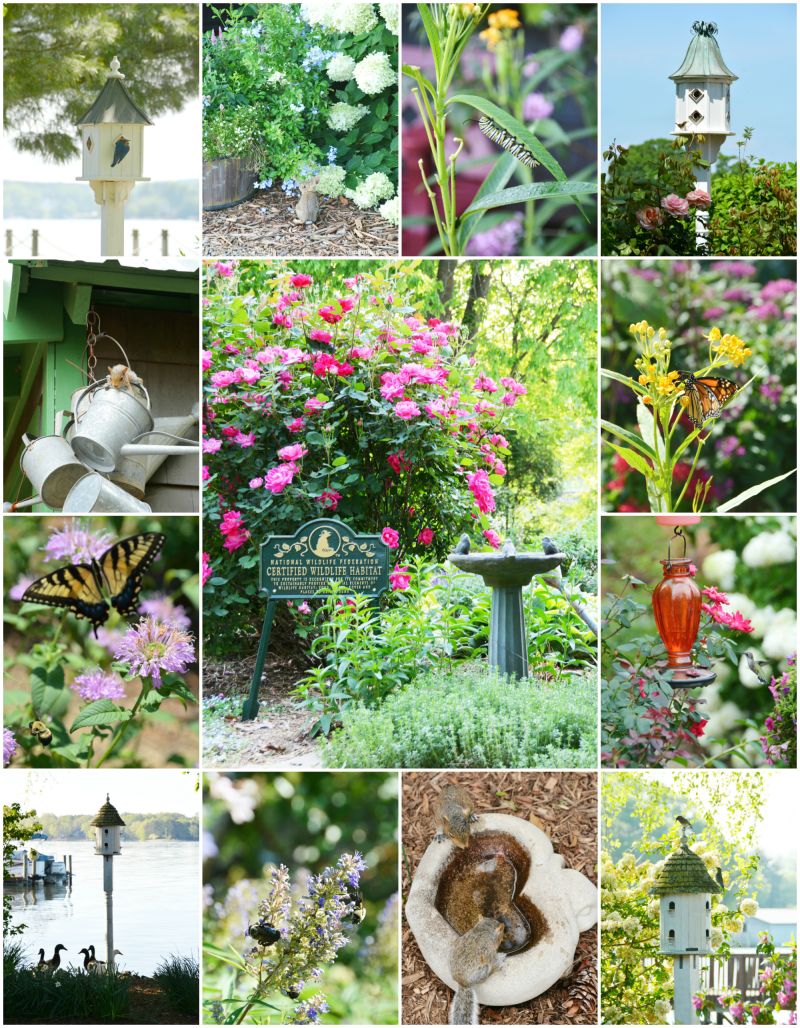 Garden for Wildlife Month: Create a Wildlife Habitat in Your Backyard — Home is Where the Boat&nbsp;Is