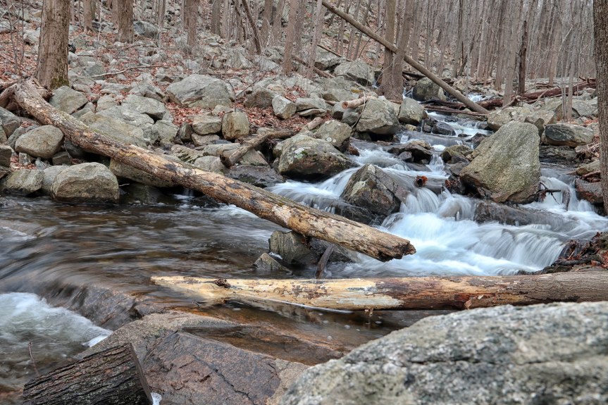 Ramapo Mountain State&nbsp;Forest