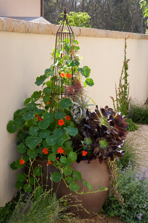 10 Container Gardens That Mix Edible and Ornamental&nbsp;Plants