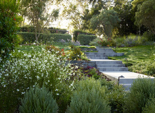 5 Ideas for a More Earth-Friendly&nbsp;Garden
