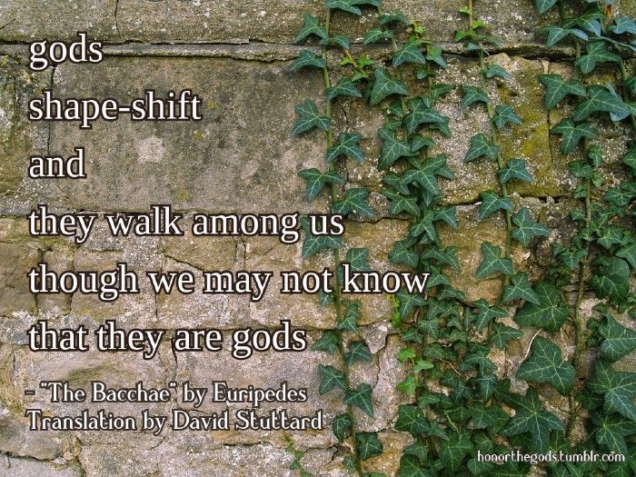 Gods shape-shift and they walk among us — ReBirth: The Pursuit of&nbsp;Porsha