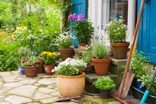 Going on Vacation? Here’s How to Make Sure Your Garden&nbsp;Survives