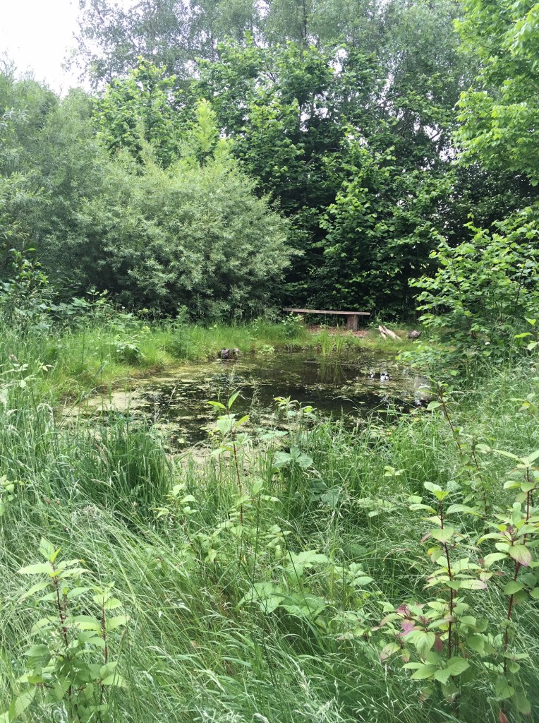 Weleda Gardens: Experiencing a medicinal plant garden in England’s Derbyshire