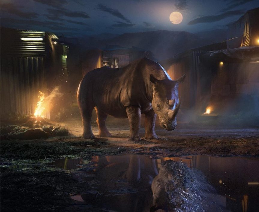 Sides of a Horn: Short dramatic film aims to tell the story of Africa’s poaching crisis from both&nbsp;sides