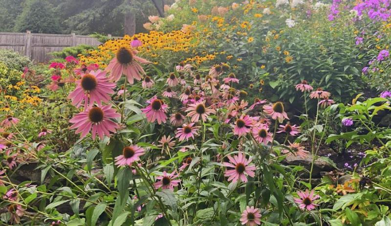 Summer Wellbeing: Summer, The Season of Becoming — Good Witches&nbsp;Homestead