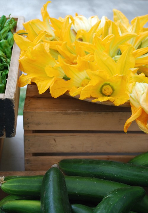 8 Last-Minute Additions to a Summer Edible&nbsp;Garden