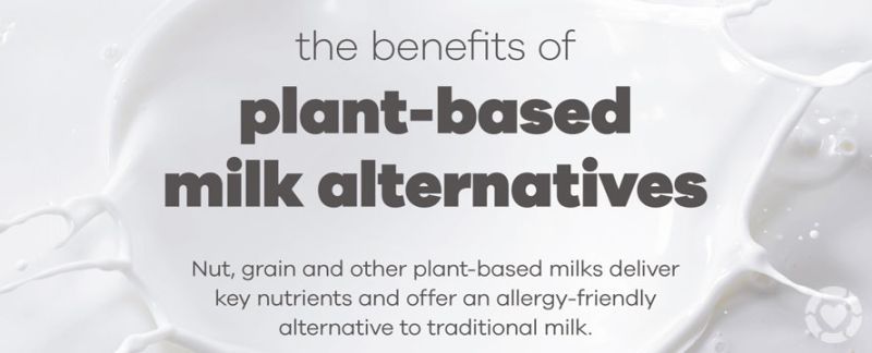 Types of alternative Milks [Infographic] —&nbsp;ecogreenlove