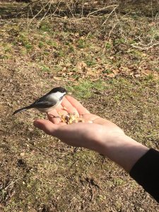 Web of Life Ritual for Interconnectivity and&nbsp;Awareness