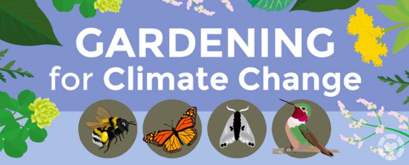 Gardening for Climate Change [Visual] —&nbsp;ecogreenlove