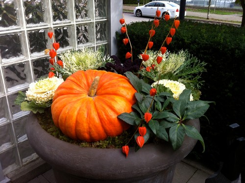 9 Ways to Refresh Your Summer Container Gardens for&nbsp;Fall