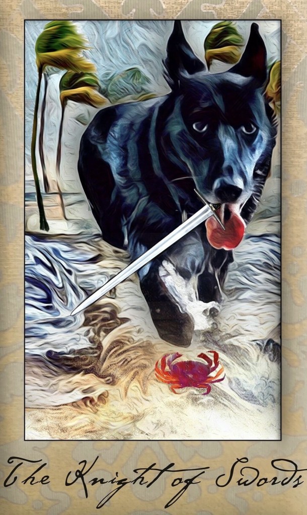 Card of the Day – Knight of Swords – Saturday, August 24, 2019 — Tarot by&nbsp;Cecelia